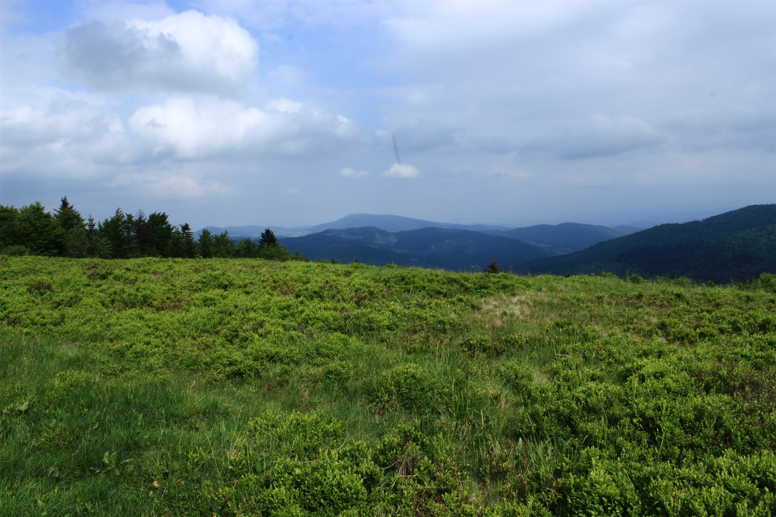 IMG_6417