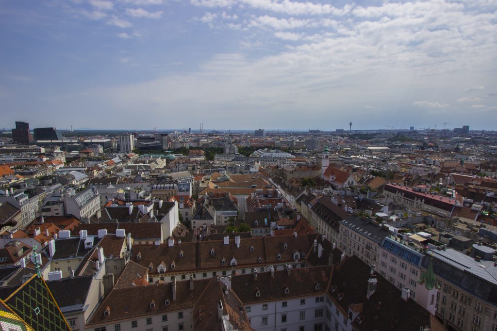 Widok na miasto z Katedry św. Szczepana 