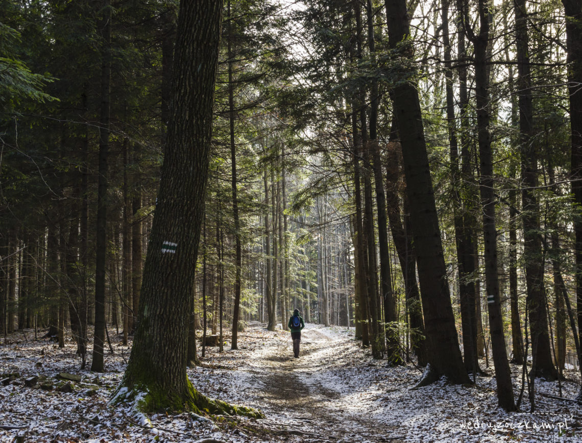 Mężczyzna idący przez las