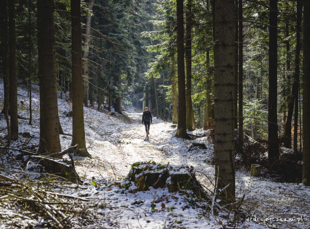 Kobieta idąca przez las